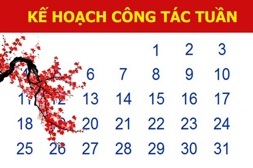 Kế hoạch công tác tuần (Từ 09-13/01/2023)